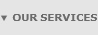 Our services